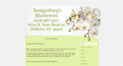 Desktop Screenshot of demotteblueberries.com